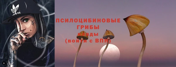 спиды Алзамай