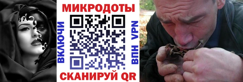 Псилоцибиновые грибы Magic Shrooms  Купить где  Снежногорск 